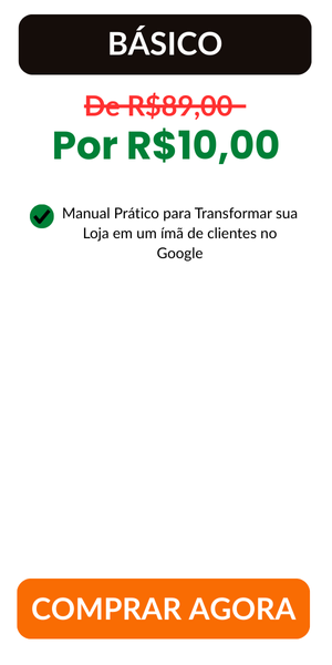 manual pratico google básico
